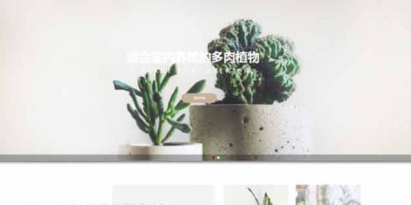 如何開發(fā)公司網(wǎng)站制作Web 前端？