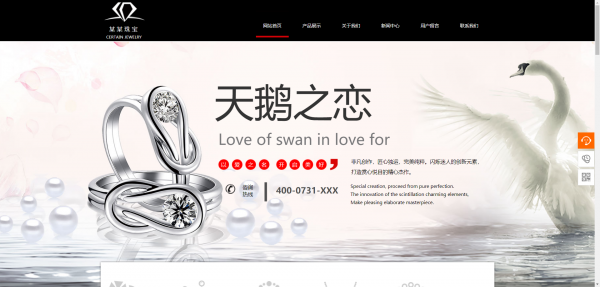 企業(yè)網(wǎng)站建設，視頻網(wǎng)站運營模式類別