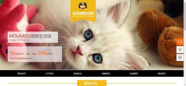 公司網(wǎng)站制作，云端訪問利用功能