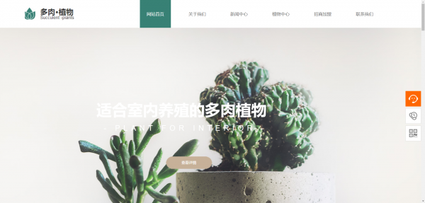 公司網(wǎng)站制作，網(wǎng)站攝影圖片