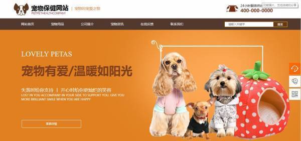 公司網(wǎng)站制作，明確建站目的和功能定位