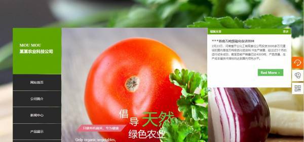公司網(wǎng)站制作，2025年不可錯過的設(shè)計風(fēng)格